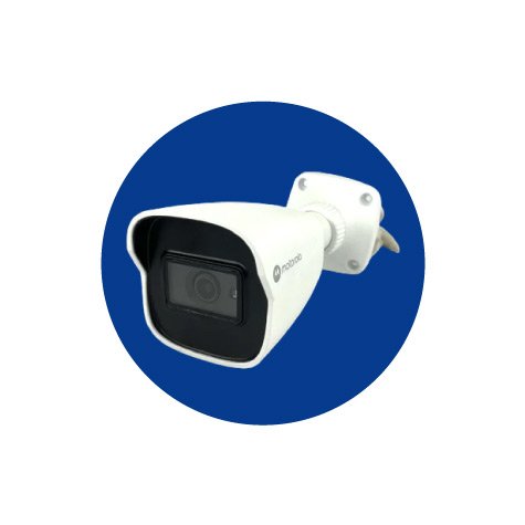 categoria 8